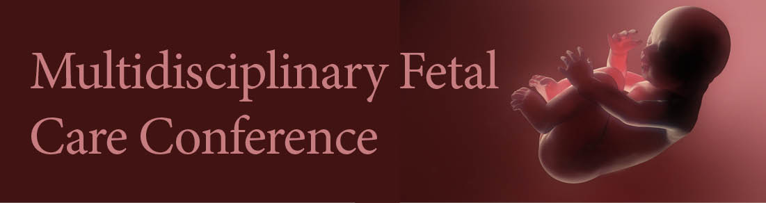 Multidisciplinary Fetal Care Conference Banner